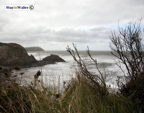 Coastal footpath near Parrog, Pembrokeshire