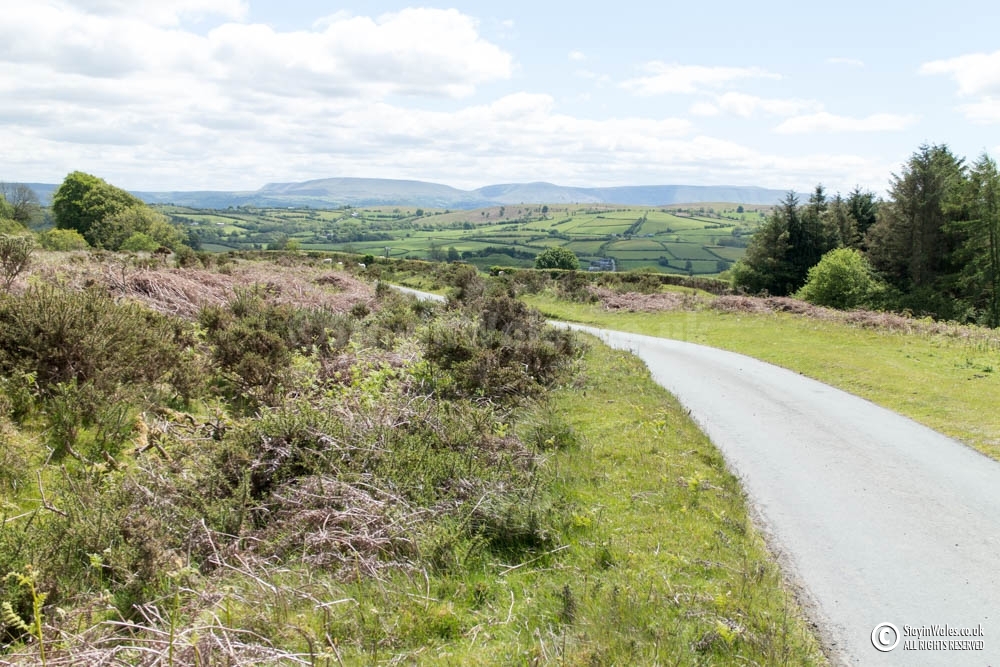 View from Llanbedr Hill