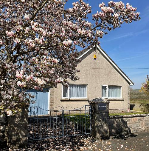 Exterior in spring