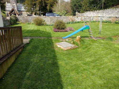 The garden