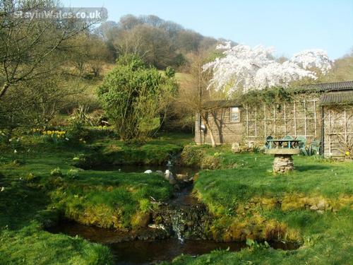 Middle Ninfa Farm