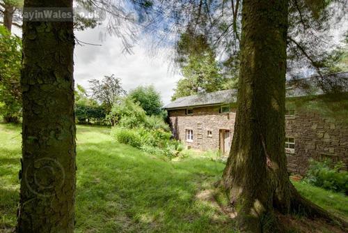 Cefn Pawl