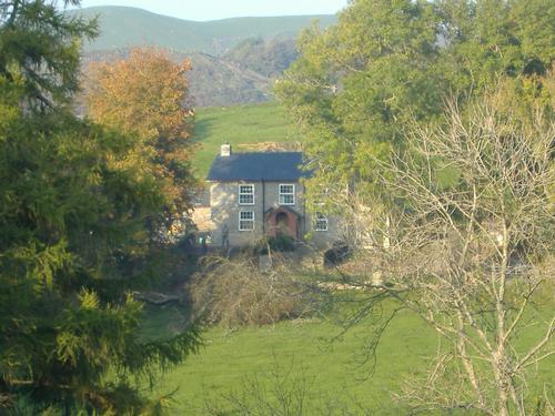 Llwynygronfa