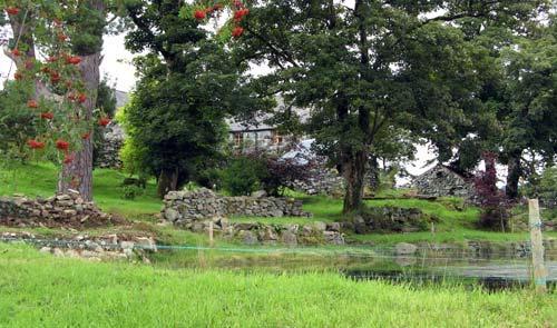 Maesgwm Farm