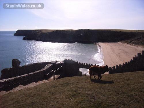 Barafundle Beach