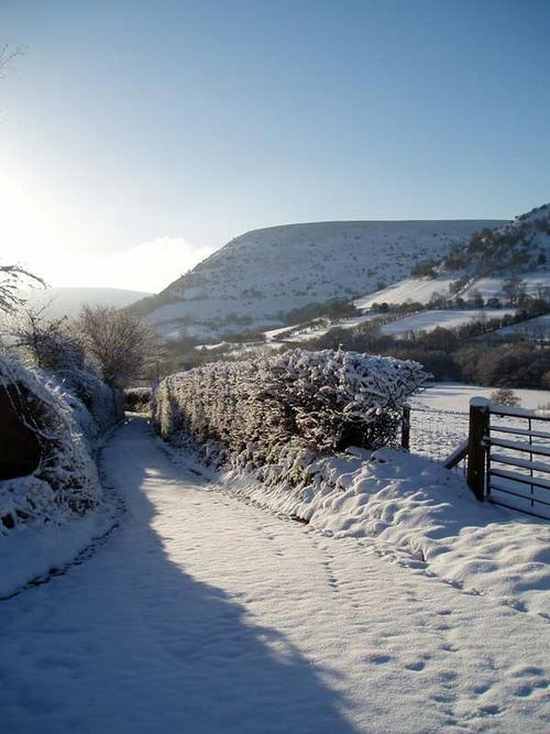 The lane in winter