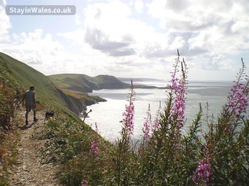 Stunning Coastal Path on your doorstep