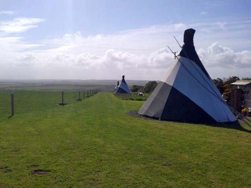 Our tipis are in rural Pembrokeshire, a few minutes'' drive from the fab sandy St Brides Bay beaches