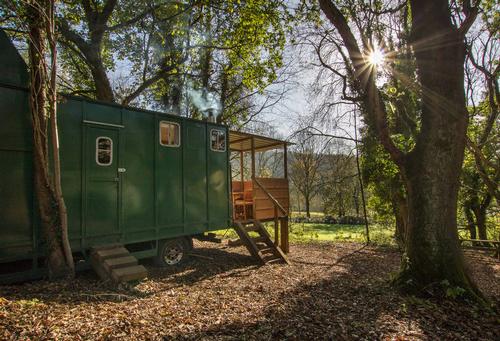Pioneer at The Hop Garden