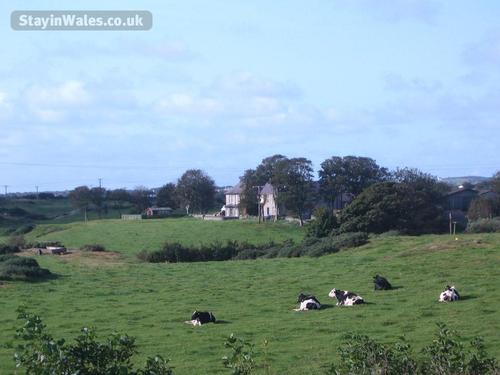 Ty Mawr is surrounded by pasture land with uninterrupted views towards the Snowdonia mountain range.