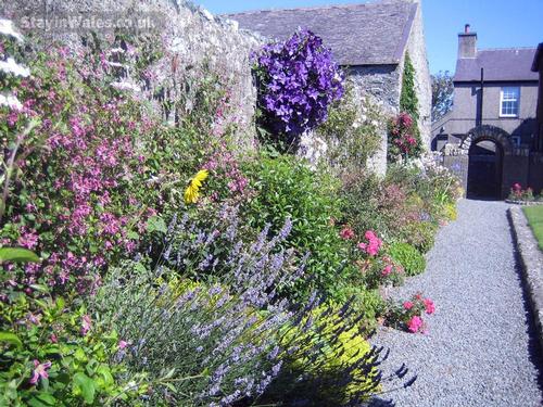 The farmhouse garden in summer