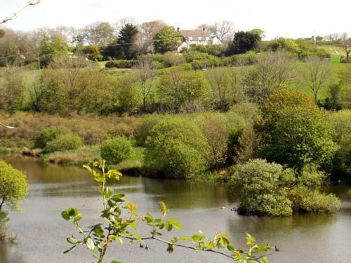 View of the farmhouse from Rosemoor reserve