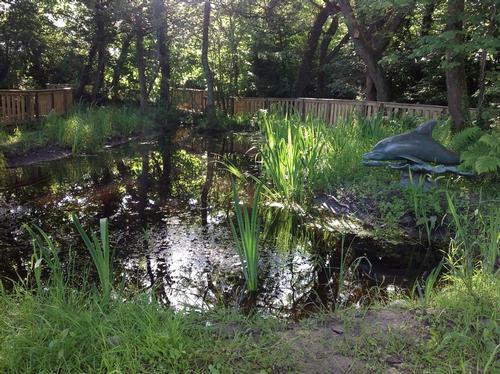 nature walkway