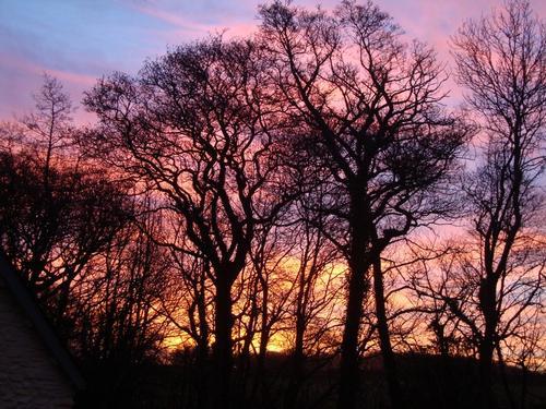 Sunrise over the nature walk