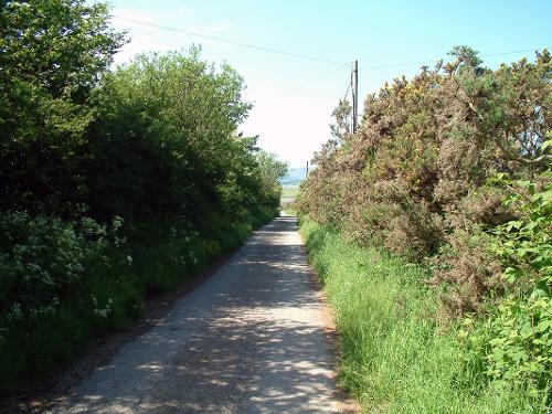 The lane to Gorslwyd