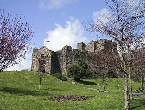 oystermouth castle