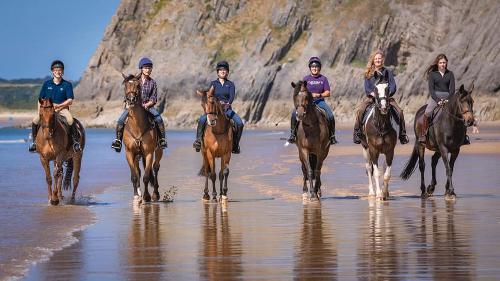 Clyne Farm Centre - Bring your horses on holiday!