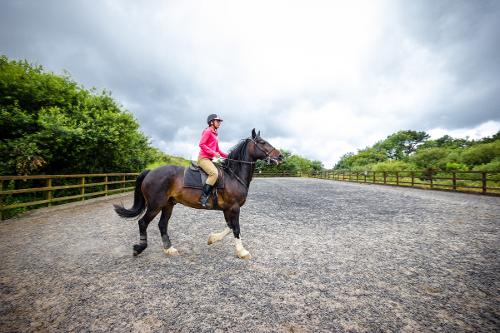 Clyne Farm Centre - Horse riding for all abilities