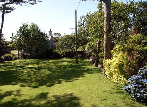 garden