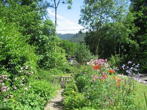 cottage garden