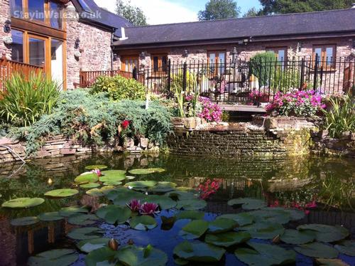 fish ponds courtyard