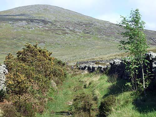 Snowdonia walking country