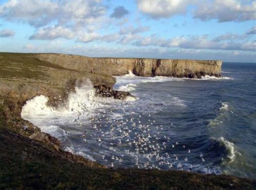 cliffs near stackpole head