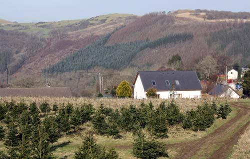 ystwyth valley b&b