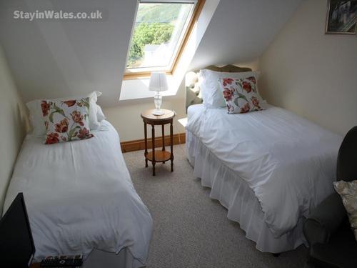 maesglas uchaf green room