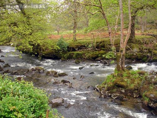 river view from conservatory