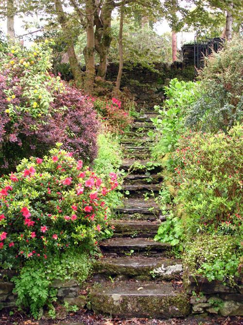 garden steps