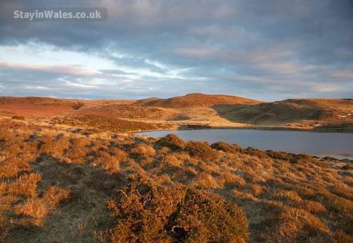 pant y llyn builth