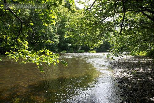 river ithon fishing rights