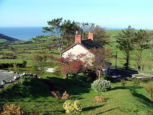 cottage garden