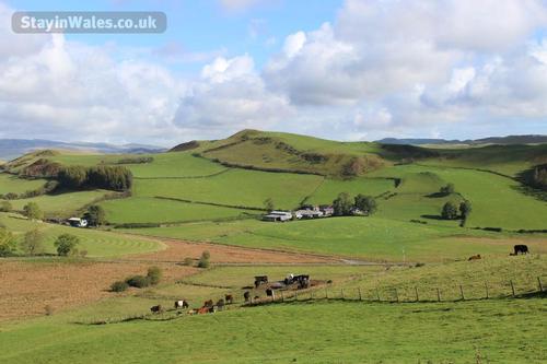 rolling green hills