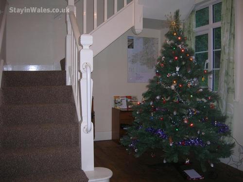 we provide a decorated tree.