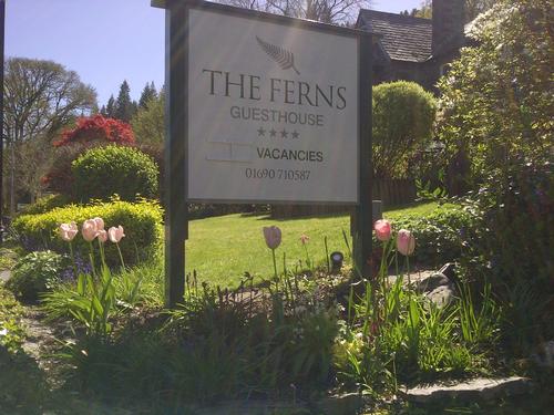 The Ferns Guesthouse