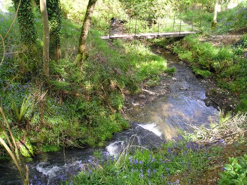 Stream in woodland