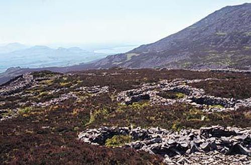 trer-ceiri
