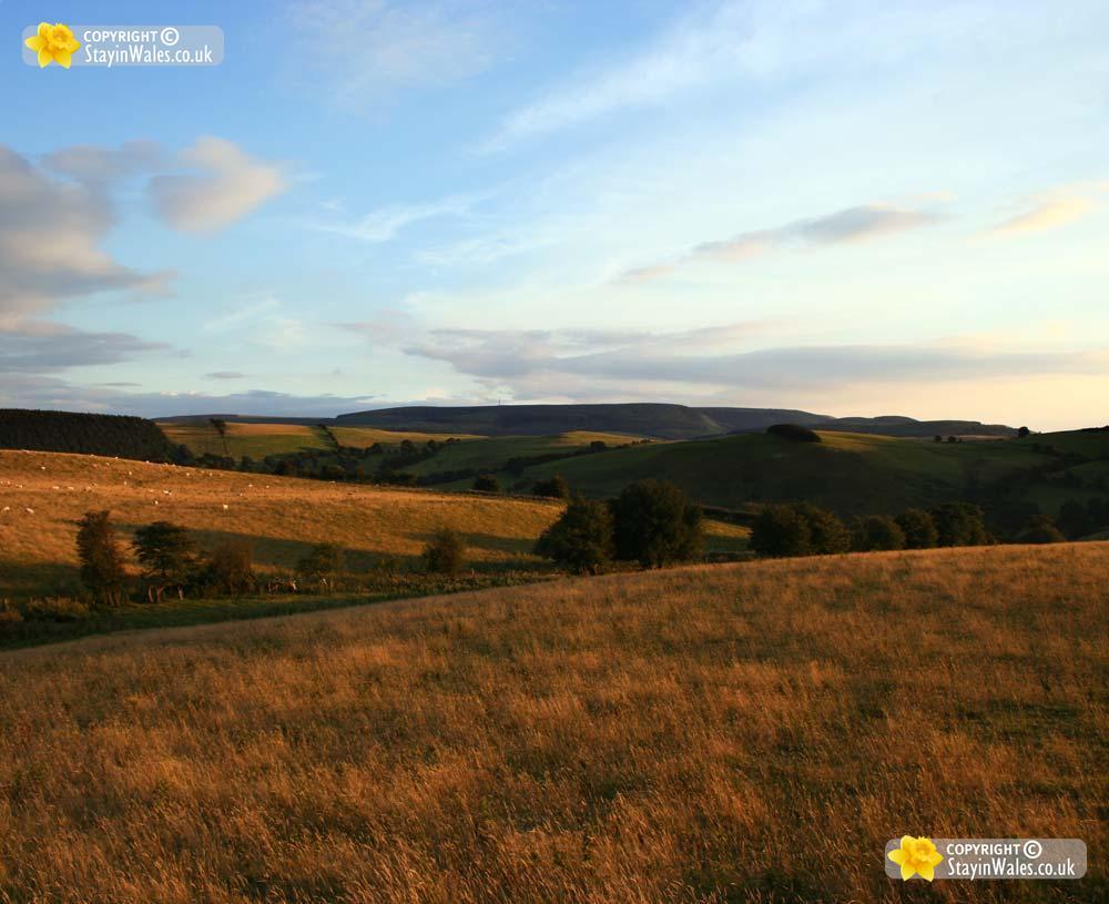 Radnor Forest picture