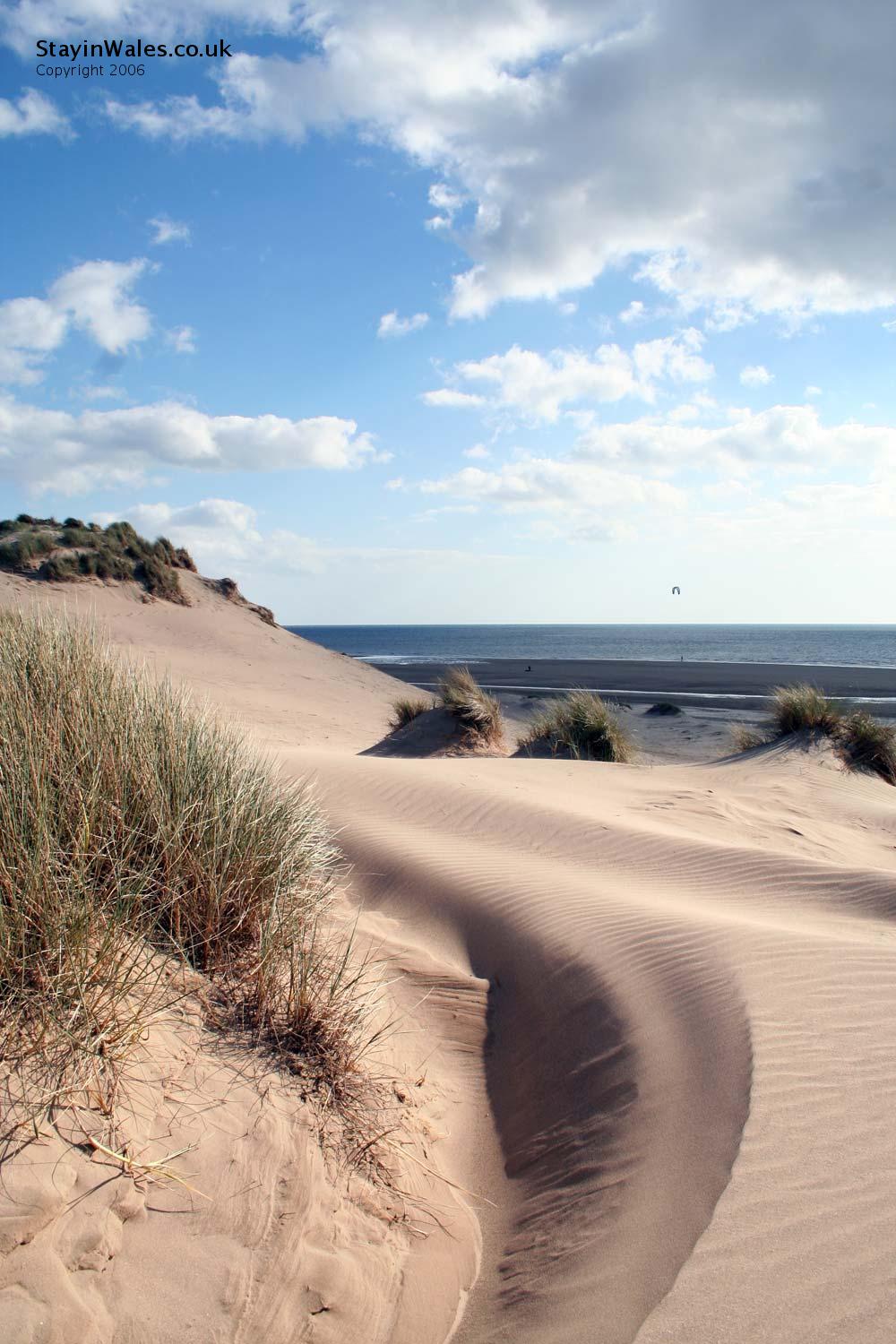 Shell Island sand dunes