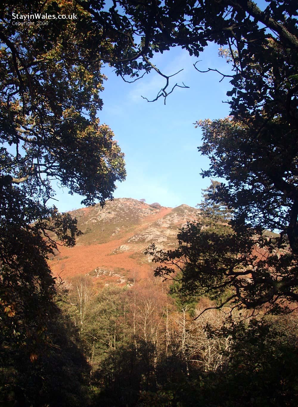 Yr Wyrlorn at Gilfach near Rhayader