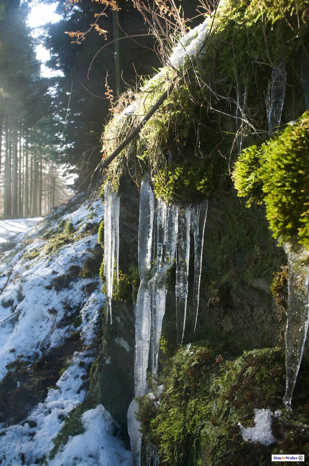 Icicles in the Elan Valley