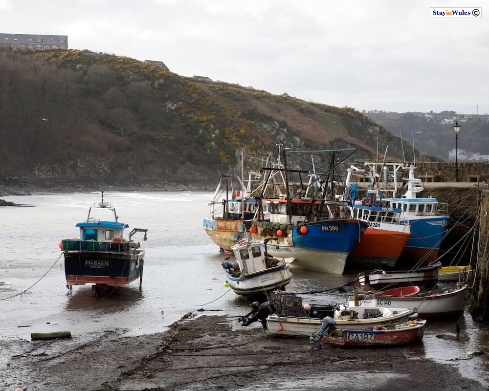 Fishing boats at Lower Town, Fishguard