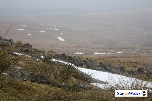 Moorland in the Cambrian Mountains
