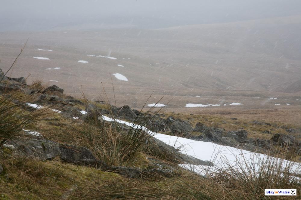 Moorland in the Cambrian Mountains