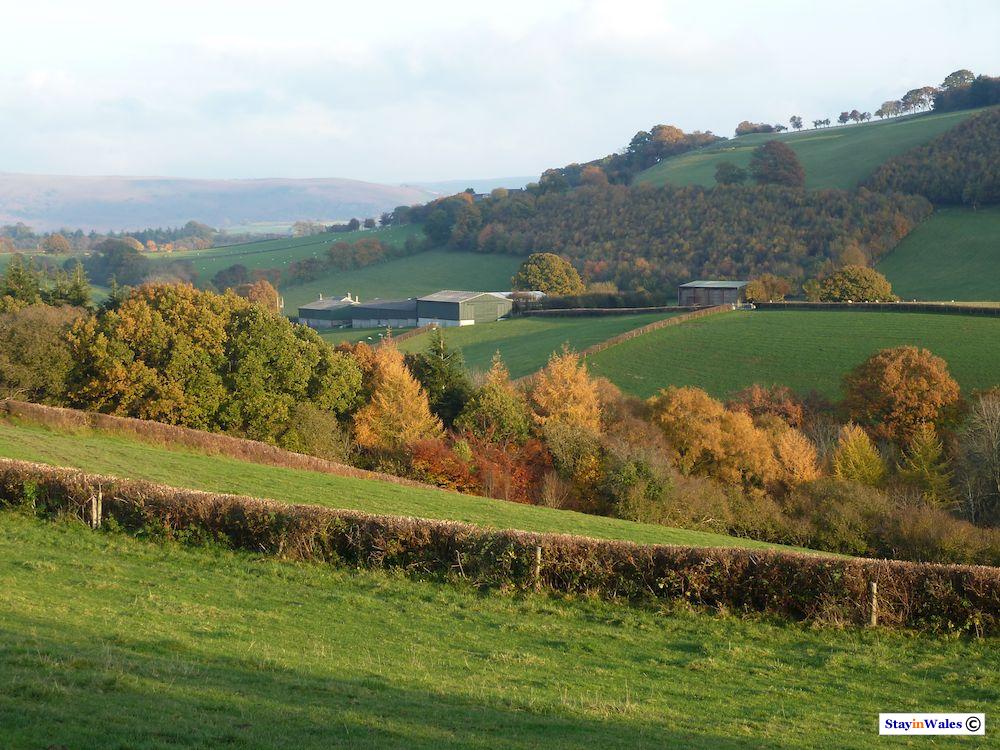 Autumn view near Maesmynis
