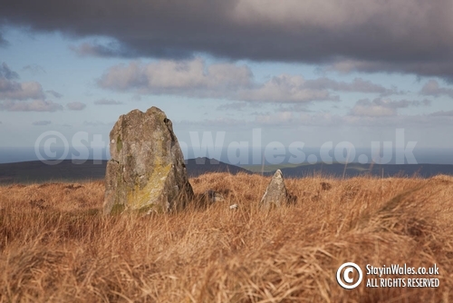 Standing stone in the Preselis