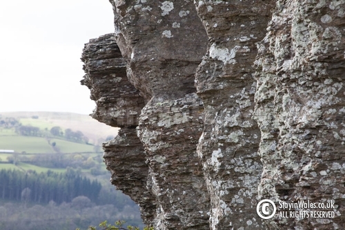 Detail of Aberedw Rocks