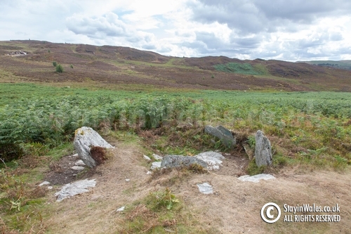 Standing stones Elan Valley
